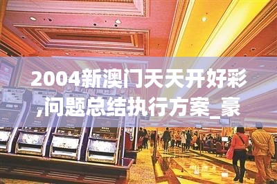 2004新澳门天天开好彩,问题总结执行方案_豪华款7.905