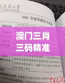 澳门三肖三码精准100%黄大仙,理论分析解析说明_OP7.508