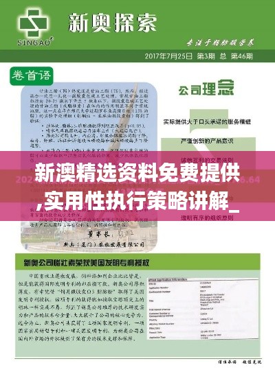 新澳精选资料免费提供,实用性执行策略讲解_Executive17.319