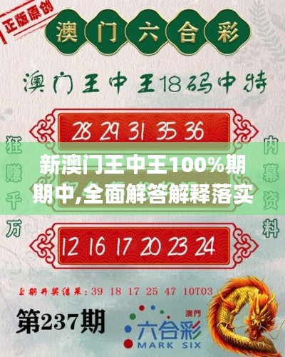 新澳门王中王100%期期中,全面解答解释落实_S7.705