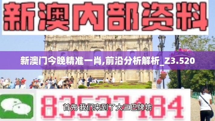 新澳门今晚精准一肖,前沿分析解析_Z3.520