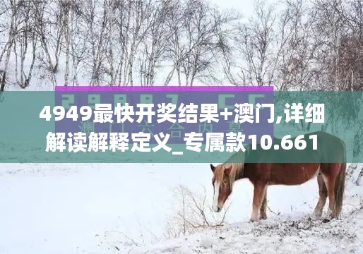 4949最快开奖结果+澳门,详细解读解释定义_专属款10.661