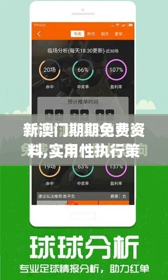 新澳门期期免费资料,实用性执行策略讲解_SE版6.185