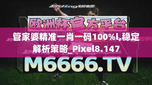 管家婆精准一肖一码100%l,稳定解析策略_Pixel8.147