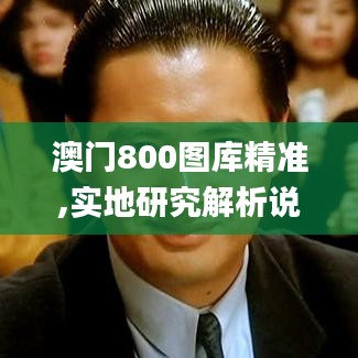 澳门800图库精准,实地研究解析说明_储蓄版1.891