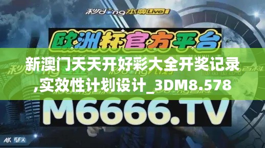 新澳门天天开好彩大全开奖记录,实效性计划设计_3DM8.578