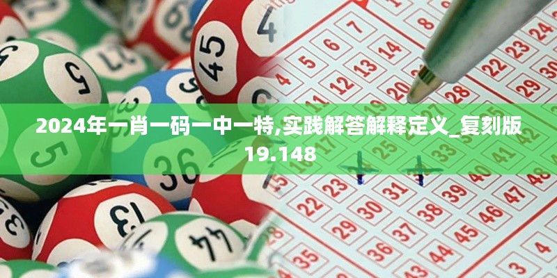 2024年一肖一码一中一特,实践解答解释定义_复刻版19.148