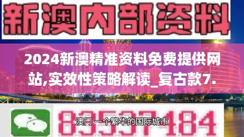 2024新澳精准资料免费提供网站,实效性策略解读_复古款7.206