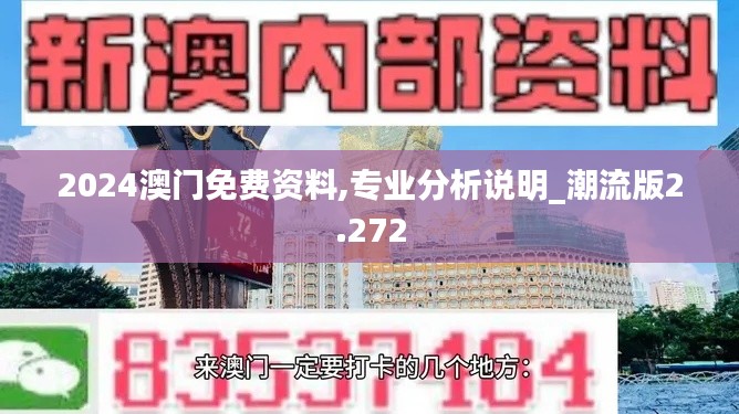 2024澳门免费资料,专业分析说明_潮流版2.272