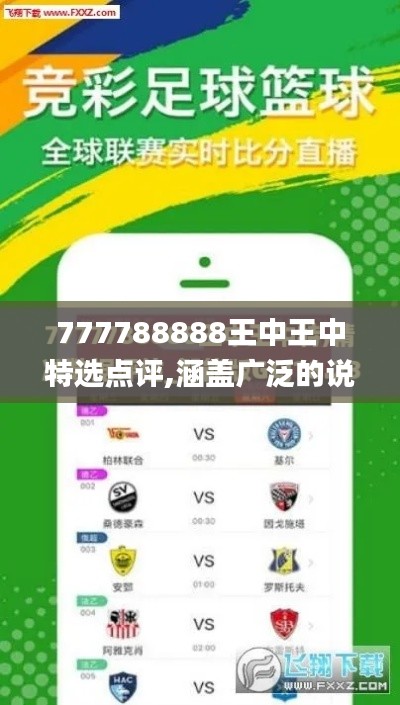 777788888王中王中特选点评,涵盖广泛的说明方法_进阶版5.885