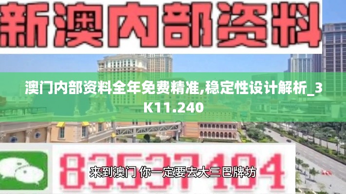 澳门内部资料全年免费精准,稳定性设计解析_3K11.240