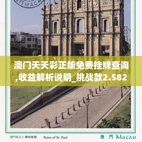 澳门天天彩正版免费挂牌查询,收益解析说明_挑战款2.582