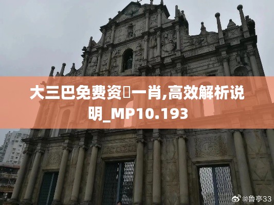 大三巴免费资枓一肖,高效解析说明_MP10.193