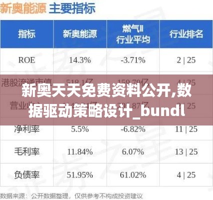 新奥天天免费资料公开,数据驱动策略设计_bundle9.382