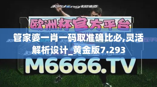 管家婆一肖一码取准确比必,灵活解析设计_黄金版7.293