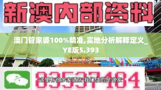 澳门管家婆100%精准,实地分析解释定义_YE版5.393