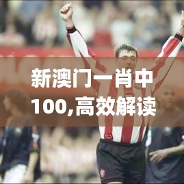 新澳门一肖中100,高效解读说明_NE版10.144