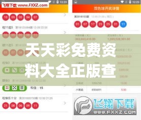 天天彩免费资料大全正版查询澳门,数据驱动计划解析_Executive4.312