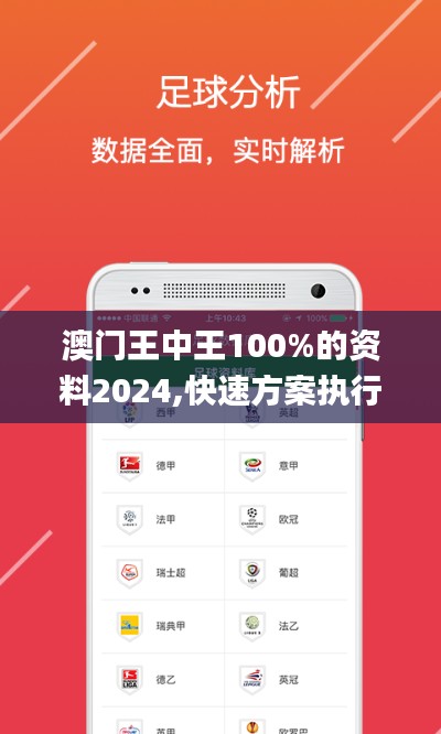 澳门王中王100%的资料2024,快速方案执行指南_苹果款15.645