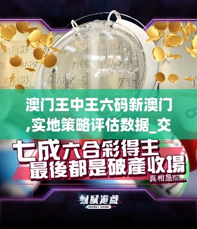 澳门王中王六码新澳门,实地策略评估数据_交互版1.102