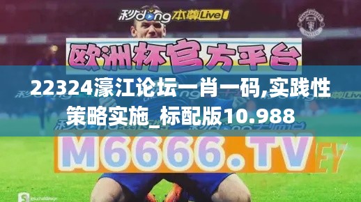 22324濠江论坛一肖一码,实践性策略实施_标配版10.988