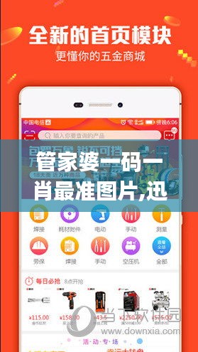 管家婆一码一肖最准图片,迅速执行计划设计_超值版18.182