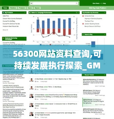56300网站资料查询,可持续发展执行探索_GM版5.524