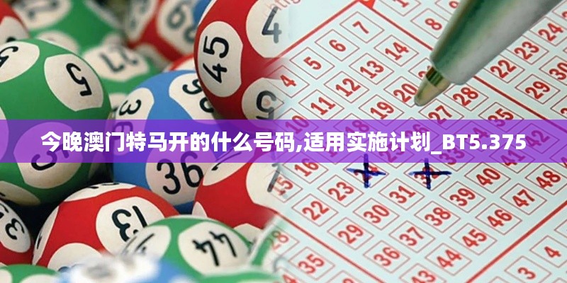 今晚澳门特马开的什么号码,适用实施计划_BT5.375