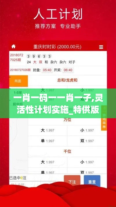 一肖一码一一肖一子,灵活性计划实施_特供版3.645