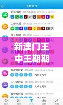 新澳门王中王期期中特,稳定性执行计划_AR2.222
