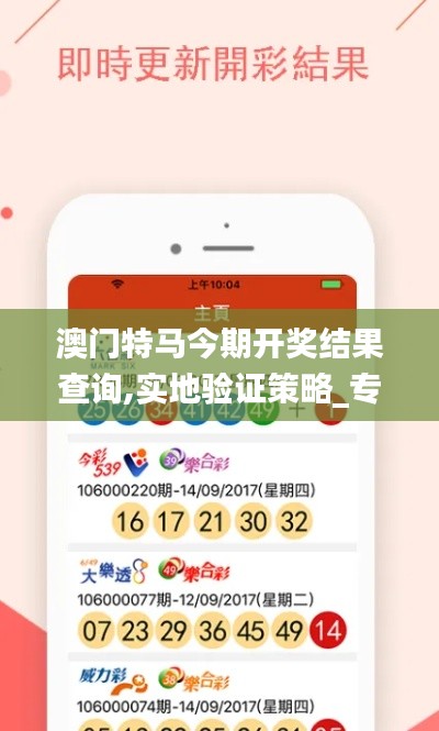 澳门特马今期开奖结果查询,实地验证策略_专属版5.204