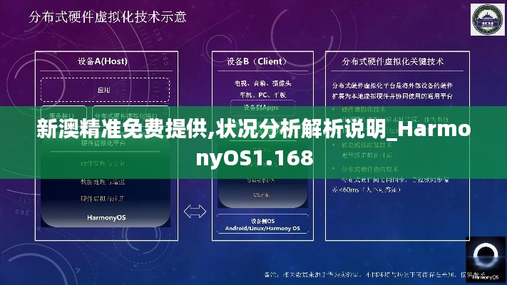 新澳精准免费提供,状况分析解析说明_HarmonyOS1.168