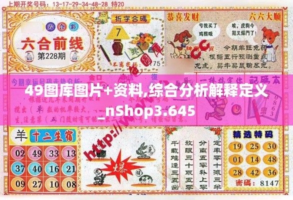 49图库图片+资料,综合分析解释定义_nShop3.645