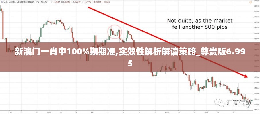 新澳门一肖中100%期期准,实效性解析解读策略_尊贵版6.995