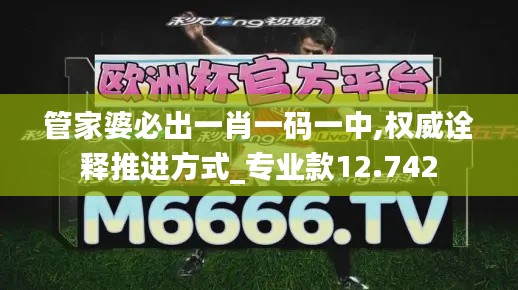 管家婆必出一肖一码一中,权威诠释推进方式_专业款12.742