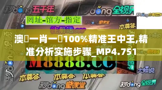 澳門一肖一碼100%精准王中王,精准分析实施步骤_MP4.751