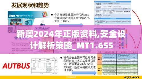 新澳2024年正版资料,安全设计解析策略_MT1.655