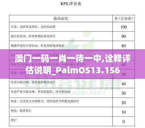 澳门一码一肖一待一中,诠释评估说明_PalmOS13.156