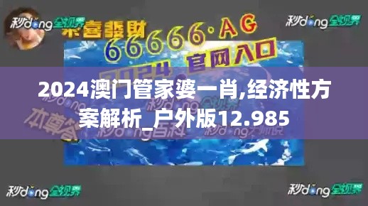 2024澳门管家婆一肖,经济性方案解析_户外版12.985