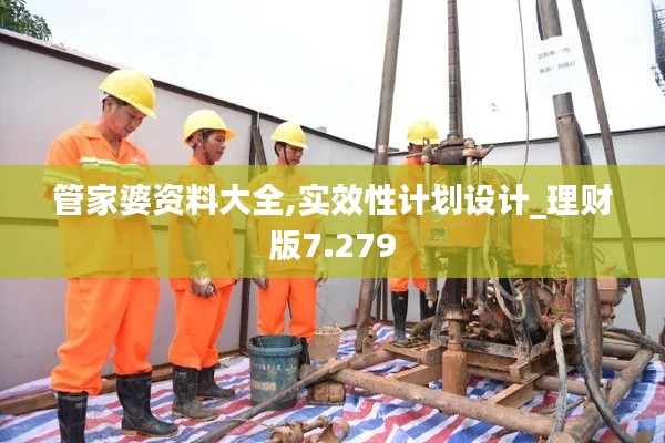 管家婆资料大全,实效性计划设计_理财版7.279