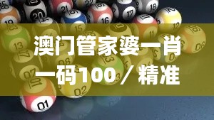 澳门管家婆一肖一码100／精准,实地数据验证策略_yShop5.627