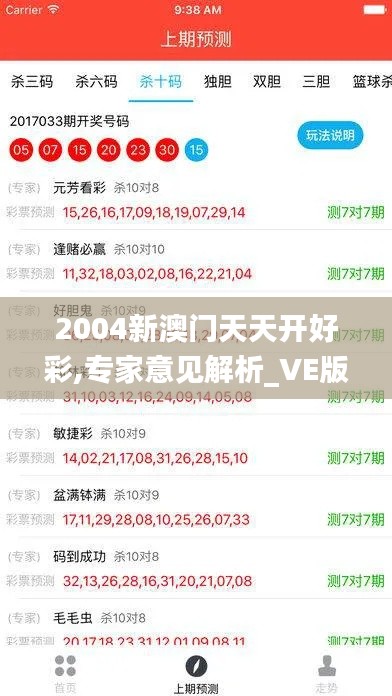 2004新澳门天天开好彩,专家意见解析_VE版9.512