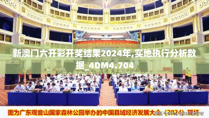 新澳门六开彩开奖结果2024年,实地执行分析数据_4DM4.704