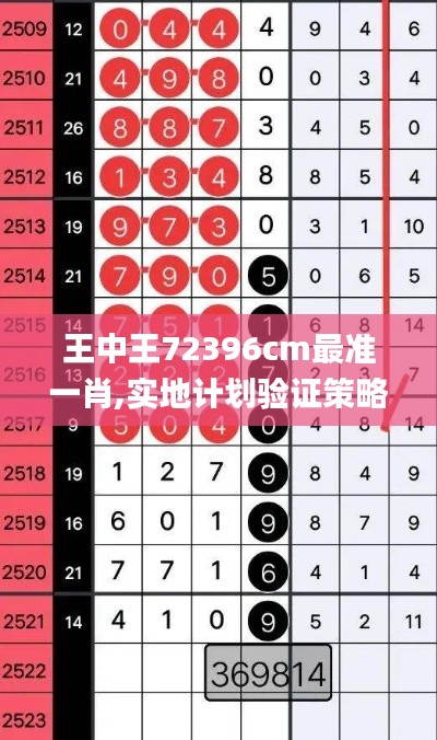 王中王72396cm最准一肖,实地计划验证策略_WP19.480