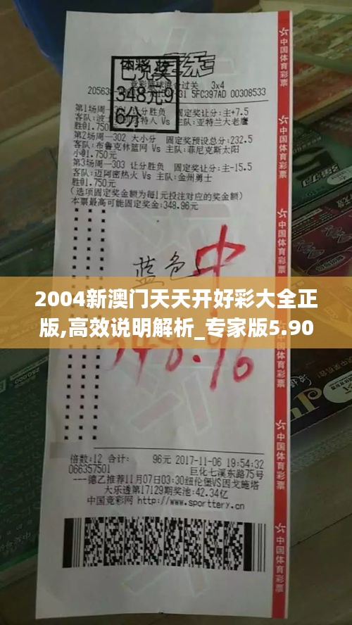 2004新澳门天天开好彩大全正版,高效说明解析_专家版5.907