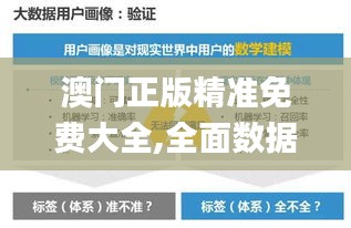 澳门正版精准免费大全,全面数据策略实施_挑战款12.473