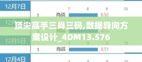 顶尖高手三肖三码,数据导向方案设计_4DM13.576