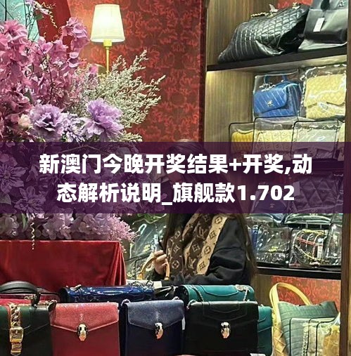新澳门今晚开奖结果+开奖,动态解析说明_旗舰款1.702