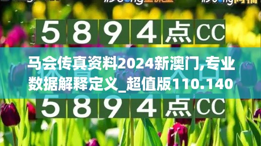 马会传真资料2024新澳门,专业数据解释定义_超值版110.140