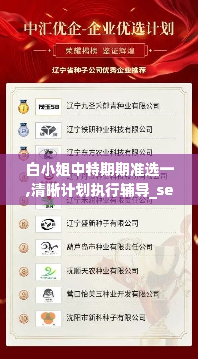 白小姐中特期期准选一,清晰计划执行辅导_set10.744